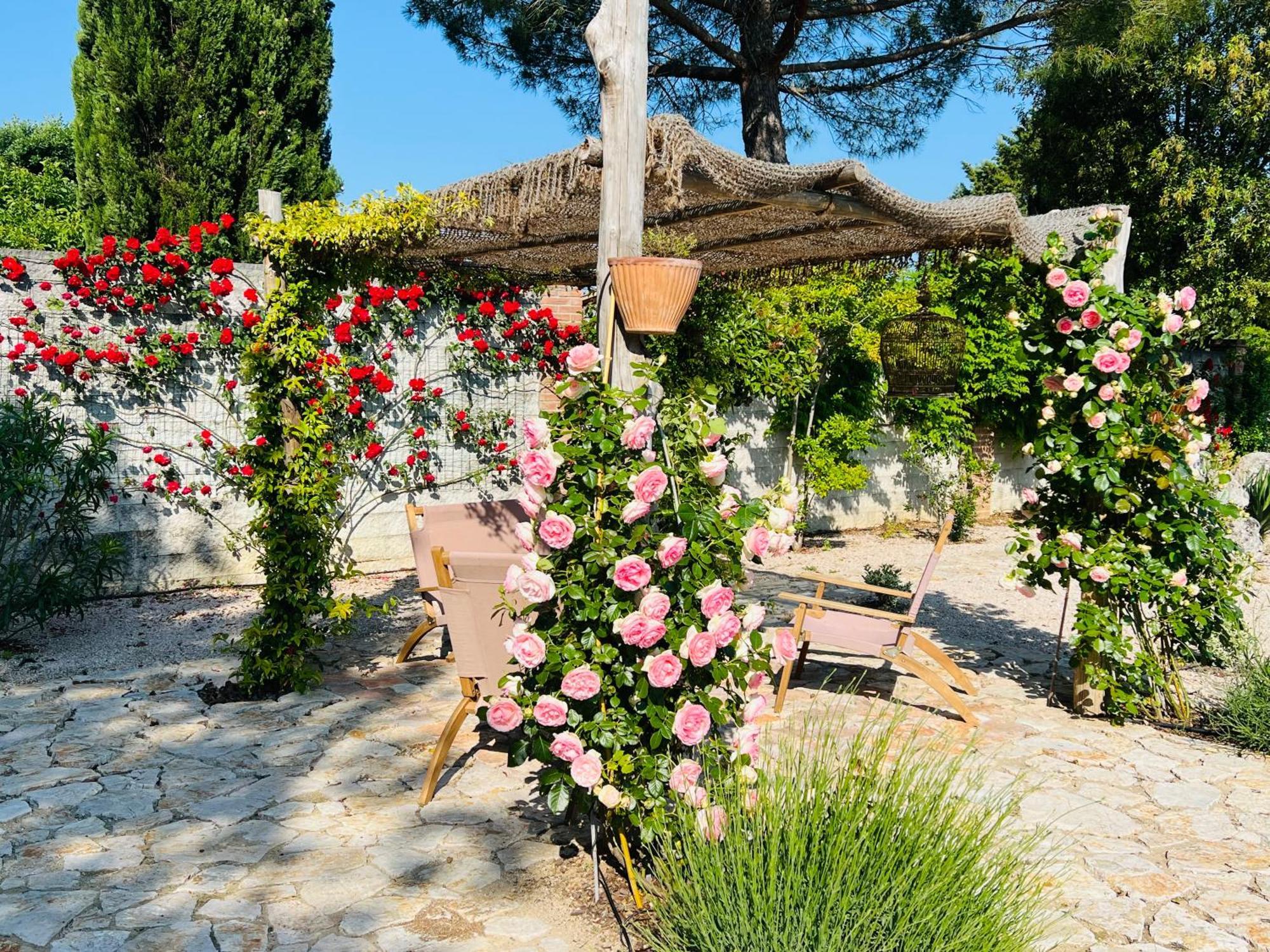Le Case Di Lisetta Holiday Homes กอร์เชียโน ภายนอก รูปภาพ