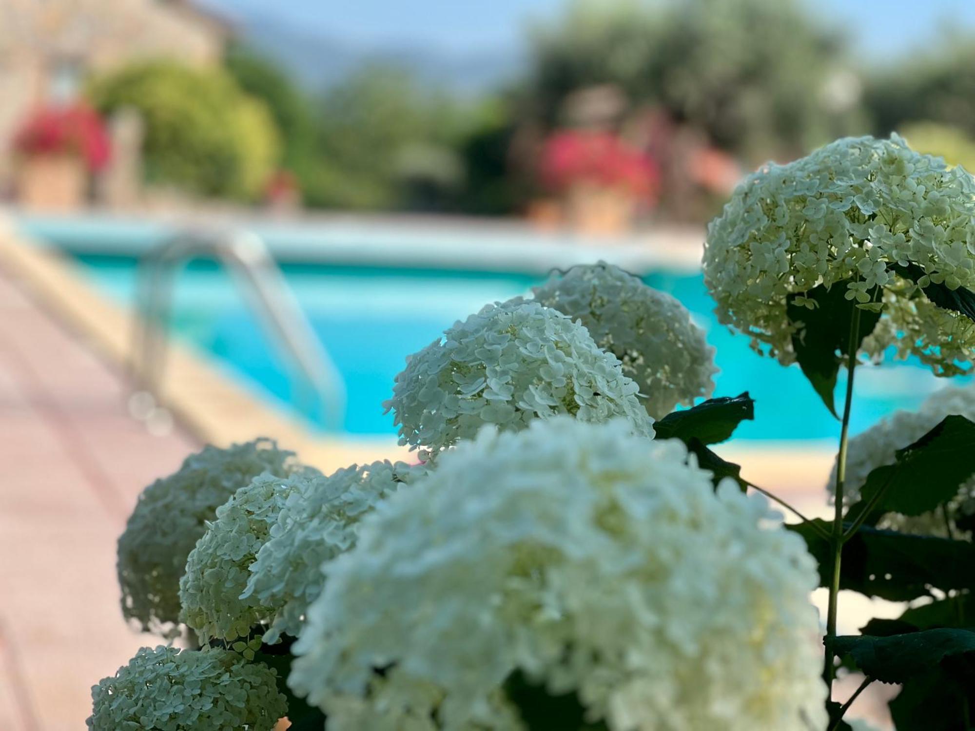 Le Case Di Lisetta Holiday Homes กอร์เชียโน ภายนอก รูปภาพ