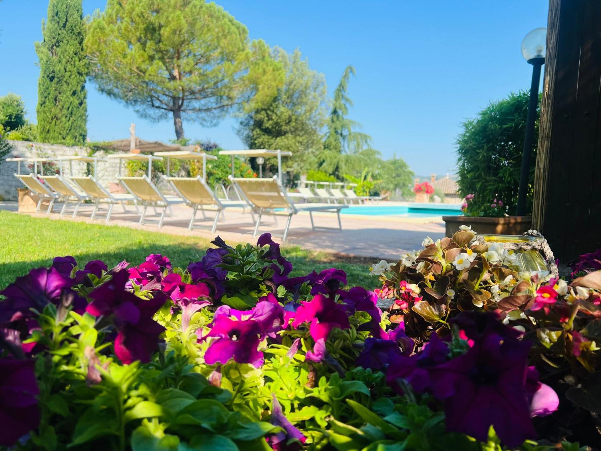Le Case Di Lisetta Holiday Homes กอร์เชียโน ภายนอก รูปภาพ