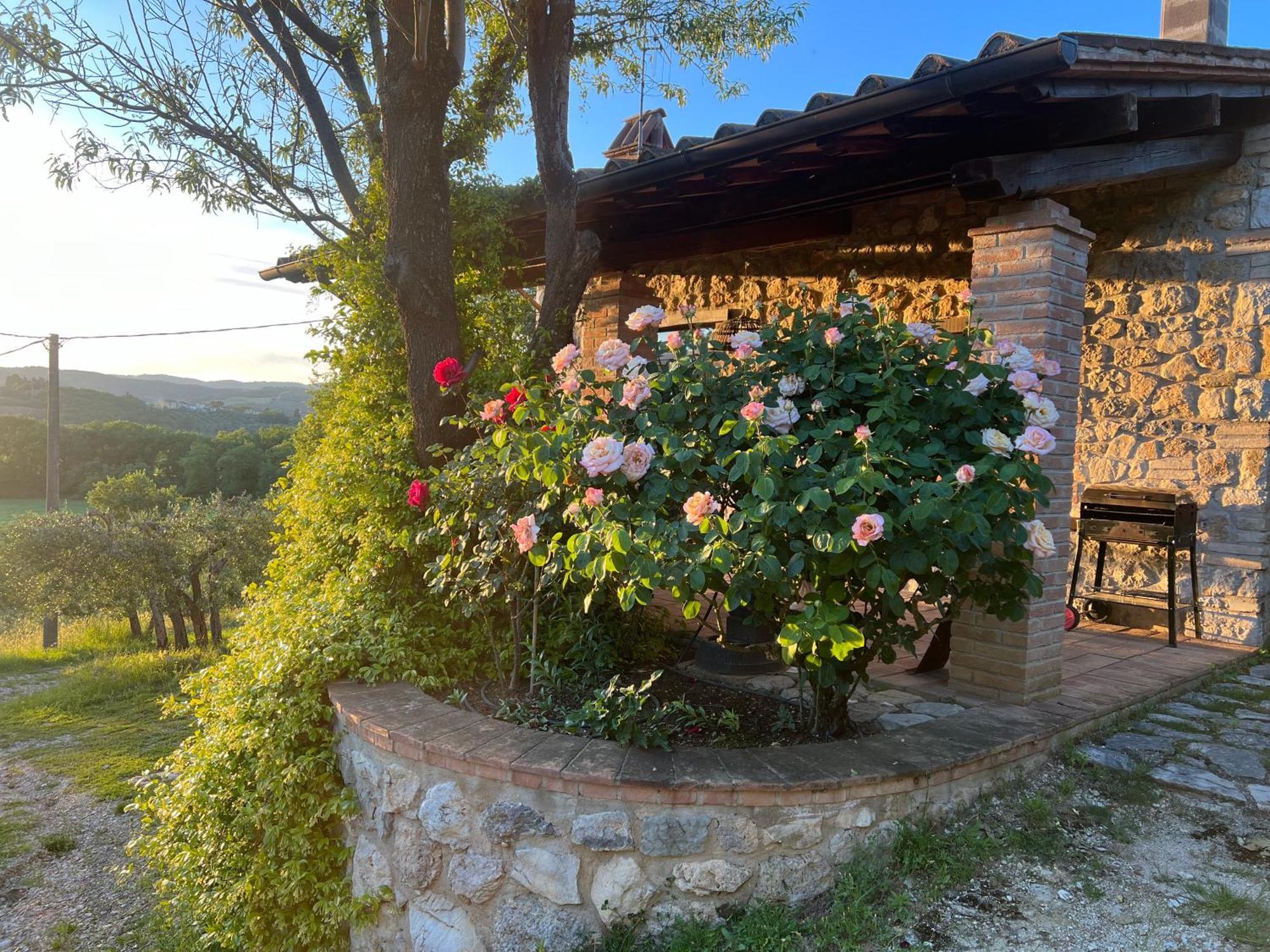 Le Case Di Lisetta Holiday Homes กอร์เชียโน ภายนอก รูปภาพ