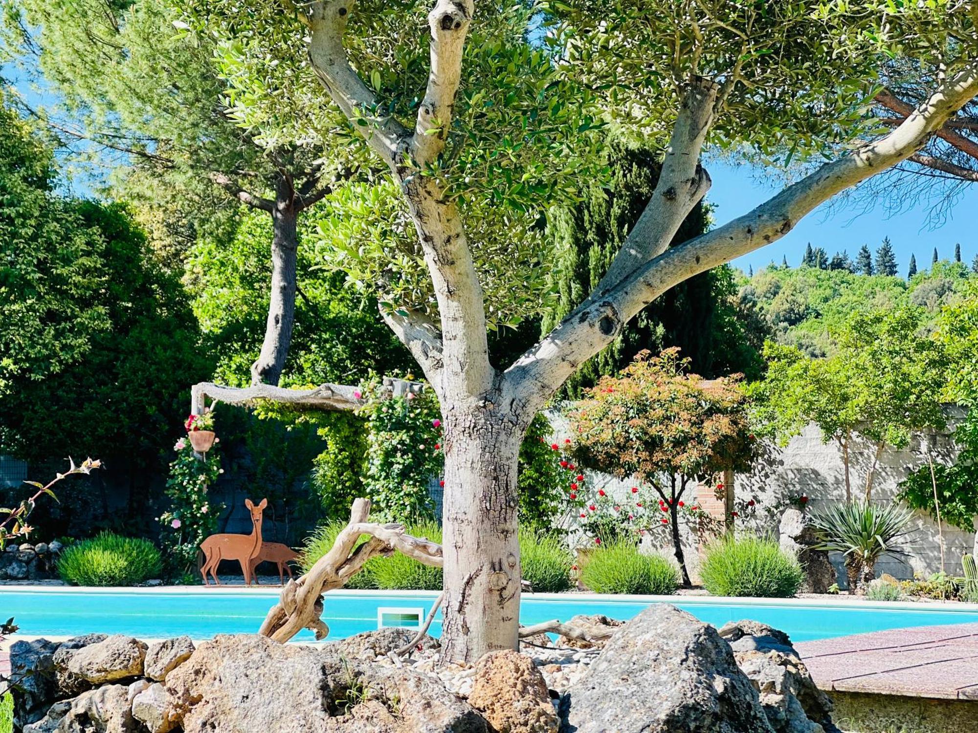 Le Case Di Lisetta Holiday Homes กอร์เชียโน ภายนอก รูปภาพ
