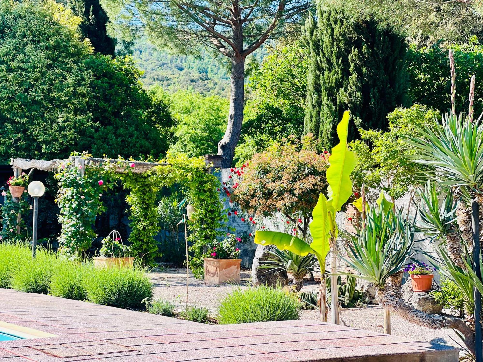Le Case Di Lisetta Holiday Homes กอร์เชียโน ภายนอก รูปภาพ