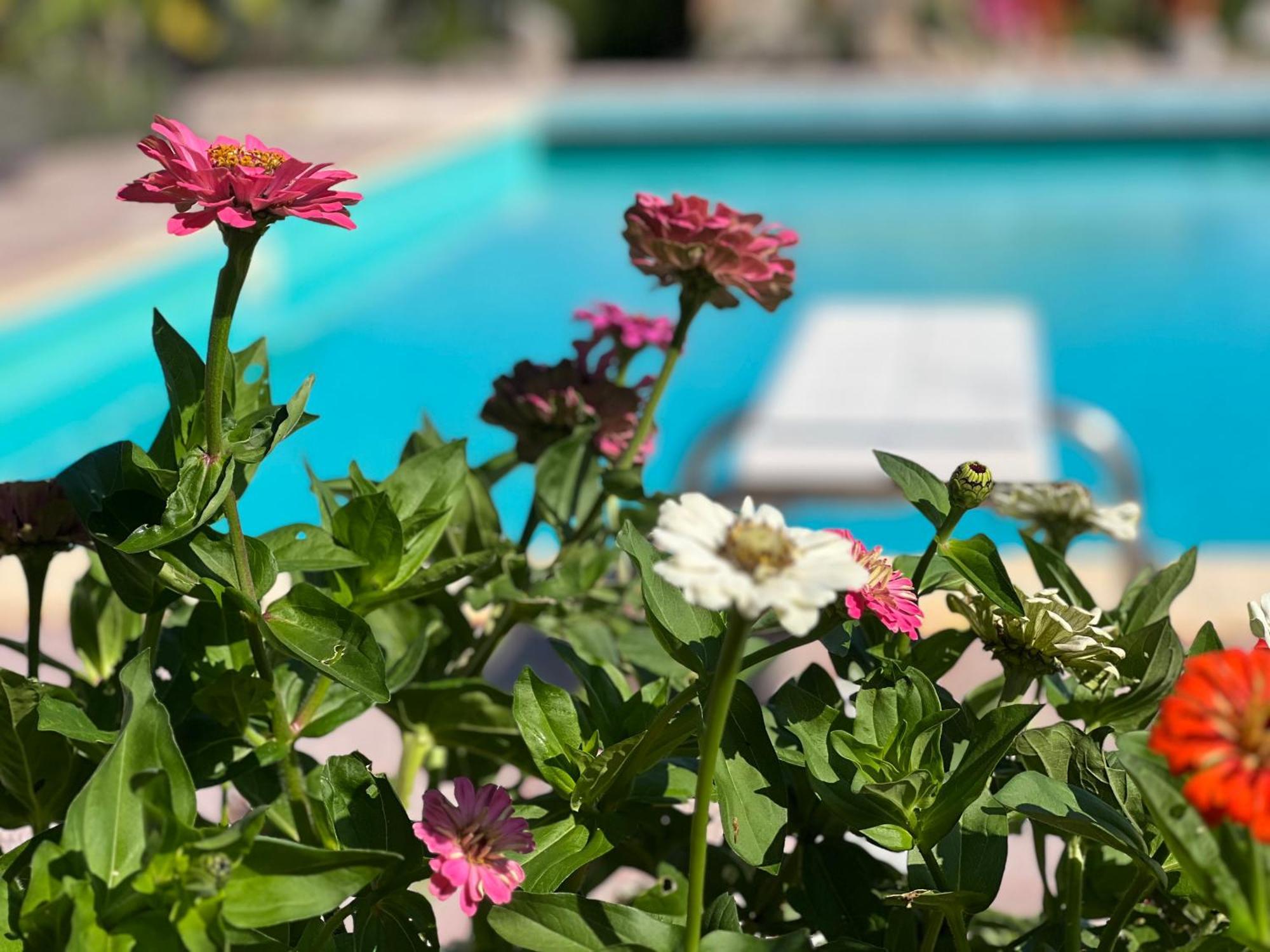 Le Case Di Lisetta Holiday Homes กอร์เชียโน ภายนอก รูปภาพ