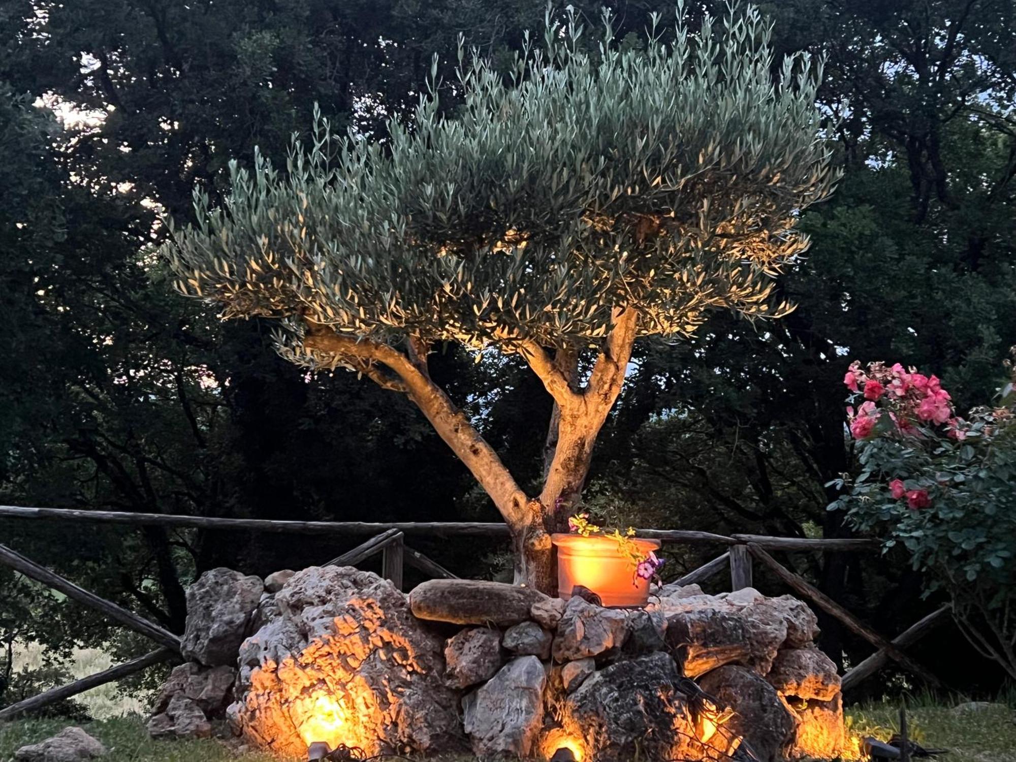Le Case Di Lisetta Holiday Homes กอร์เชียโน ภายนอก รูปภาพ